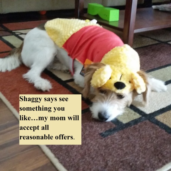 kimberlypaws
